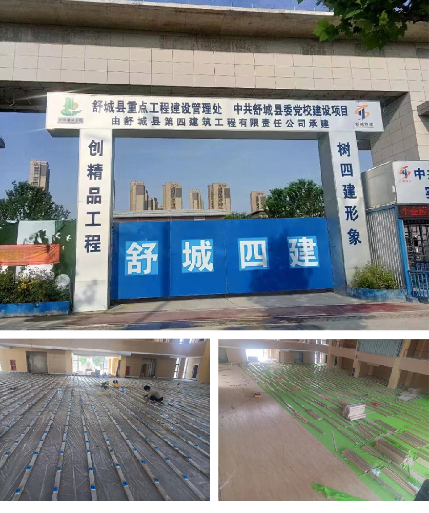 舒城党校.png