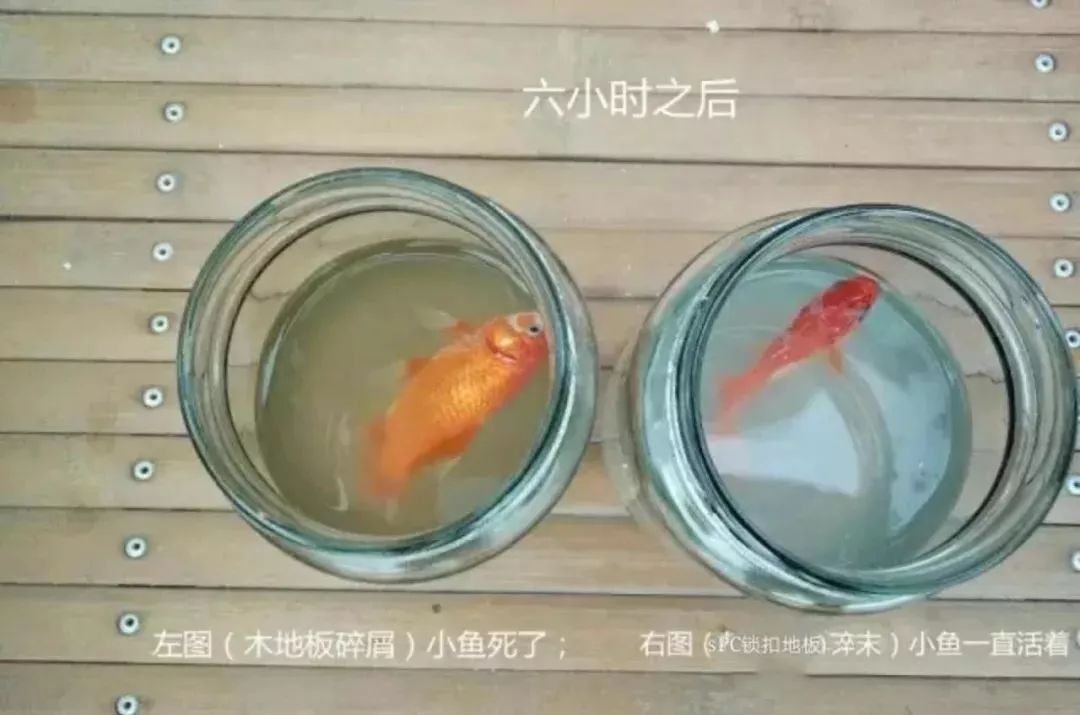 体育木地板受力_体育木地板厂家直销_实木体育地板厂家