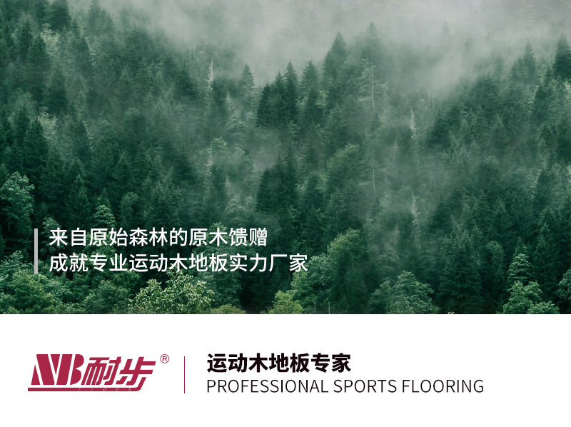 运动木地板的国家标准_运动木地板国标质量标准_运动木地板国际标准