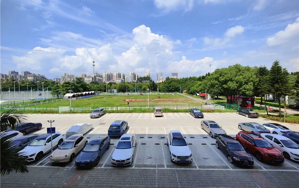 体育木地板哪家好_体育运动木地板价格_是不是实木体育地板